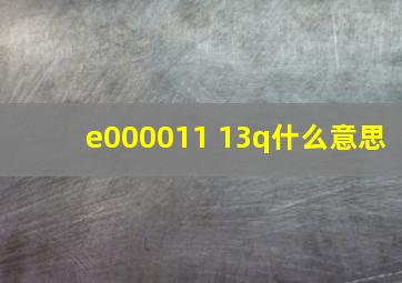 e000011 13q什么意思